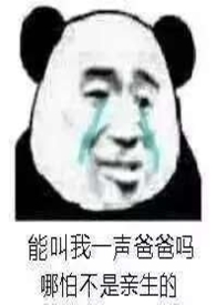 重生之嫁给前夫他爹