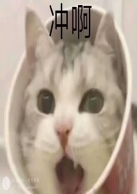 他们
