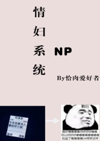 情妇系统