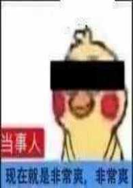 王者荣耀睡了一个英雄