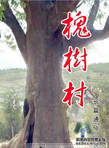 槐树村的老少们