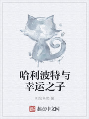 哈利波特与幸运之子