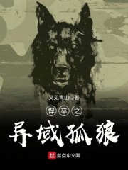 悍卒之异域孤狼