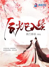 辰光已入鬓