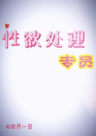 处理专员