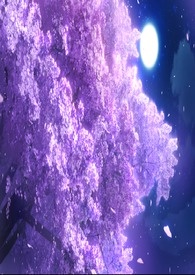 紫月之墓
