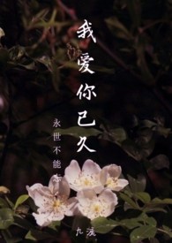 我爱你已久