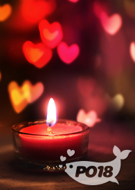 唱一折狂欢夜