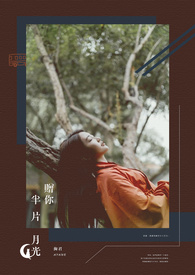 赠你半片月光