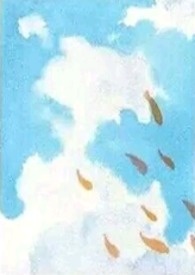 华莲王