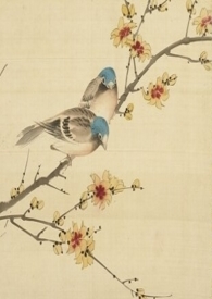情花册