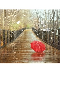 雨中的一把伞