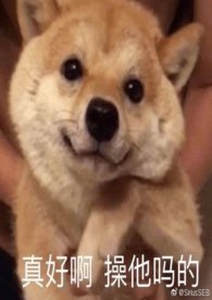 你的骨头