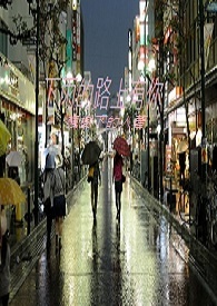 下雨的路上有你