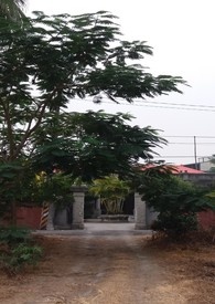 平民千金
