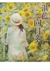 湛蓝向日葵