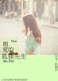 亲爱的狐狸先生