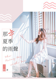 那年夏季的雨声