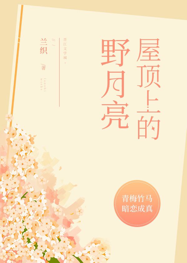 屋顶上的野月亮