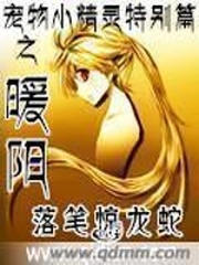 宠物小精灵特别篇