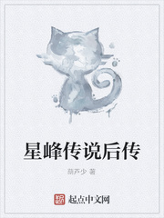 星峰传说后传