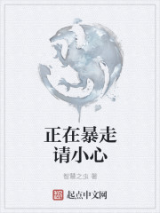 正在暴走请小心