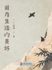 五色记忆