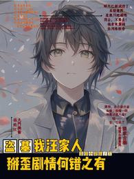 盗墓：我汪家人掰歪剧情何错之有