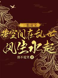 一胎双宝：带空间在乱世风生水起