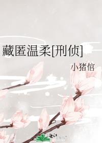 藏匿温柔[刑侦]