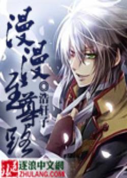 漫漫至尊路