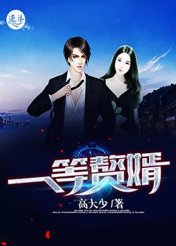 一等赘婿