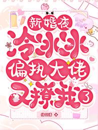 新婚夜，冷冰冰偏执大佬又撩我了