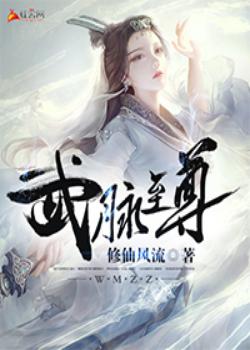 武脉至尊