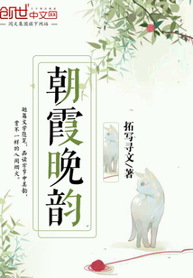 朝霞晚韵