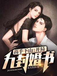高手下山：开局九封婚书