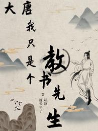大唐：我只是个教书先生