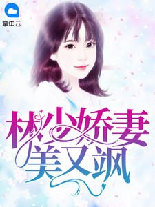 林少娇妻美又飒