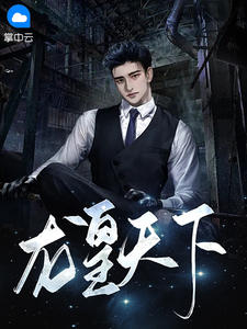 龙皇天下