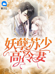妖孽苏少高冷妻