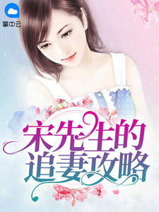 宋先生的追妻攻略