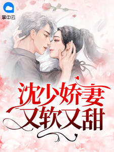 沈少娇妻又软又甜