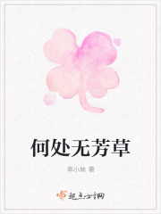 何处无芳草