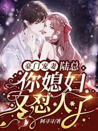 豪门宠婚：陆总，你媳妇又怼人了