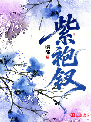 紫袍钗