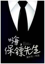 嗨，保镖先生