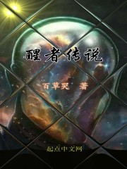 醒者传说
