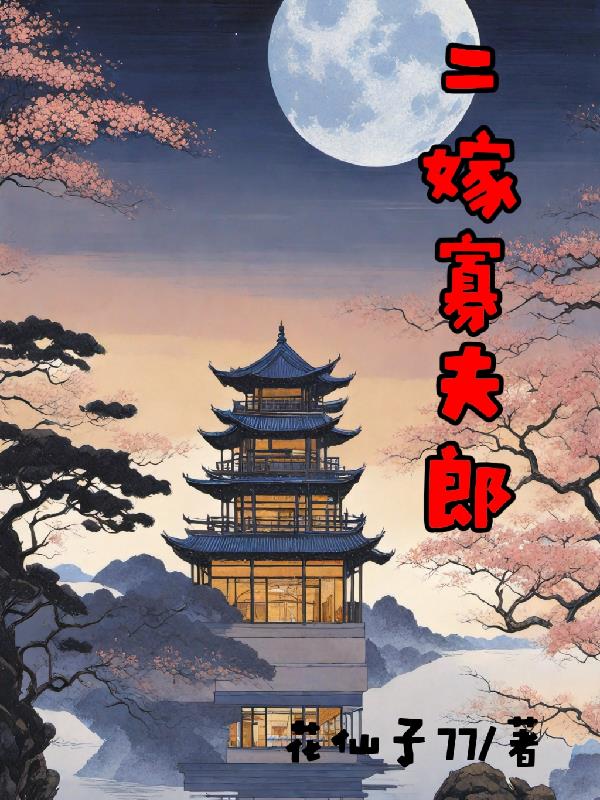 二嫁寡夫郎