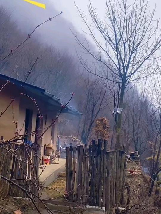 终南山玉秀
