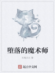 堕落的魔术师